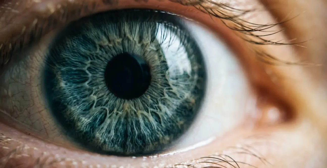 Scanner biométrique d'iris pour contrôle d'accès sans contact en entreprise